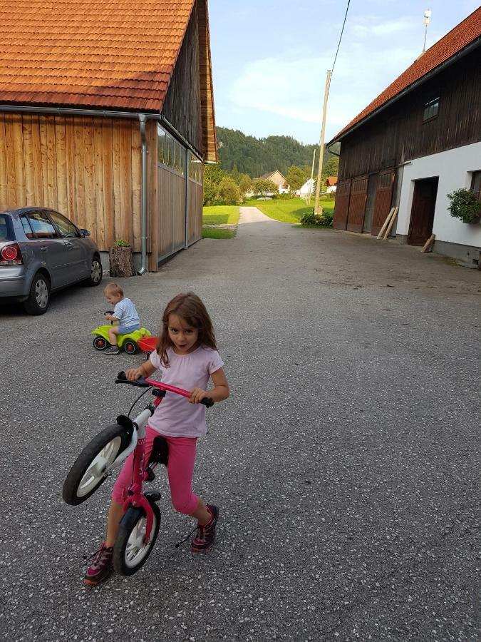 Biobauernhof Schoettelbauer Rosenau am Hengstpass Luaran gambar